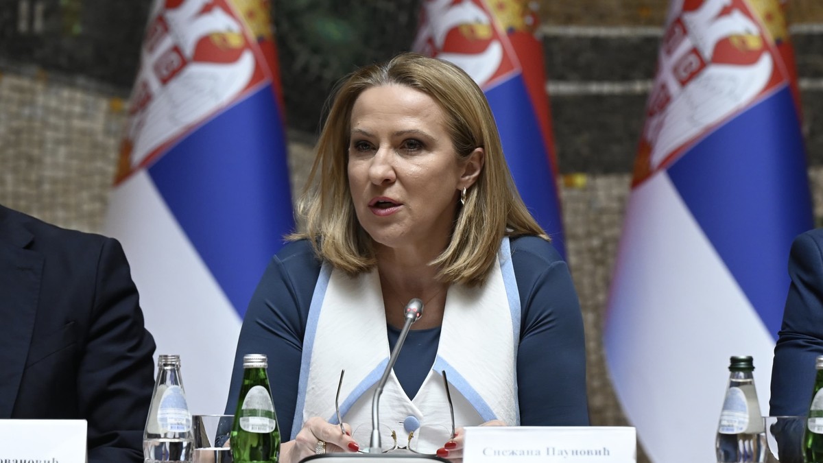 Paunović: Od ponedeljka pred poslanicima Zakon o finansiranju političkih aktivnosti