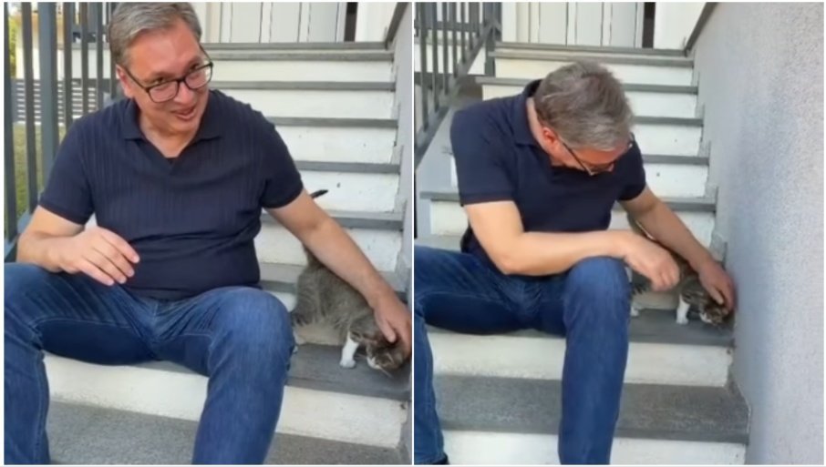„IZGLEDA DA JE I ONA SVRATILA DA VIDI KO JE STIGAO“ Vučić podelio nesvakidašnji snimak ispred kuće u Čipuljiću (VIDEO)