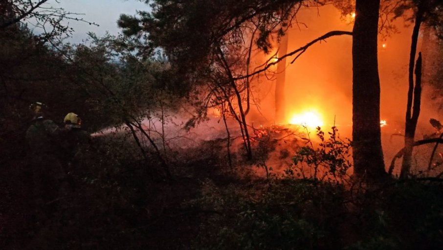 Požar u Deliblatskoj peščari i dalje traje, Šumarak odbranjen