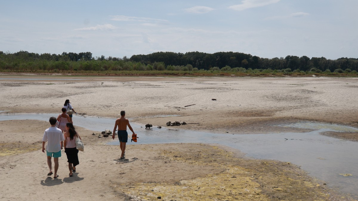 Upozorenje za Novosađane: Izbegavajte kupanje na Štrandu, Dunav presušio