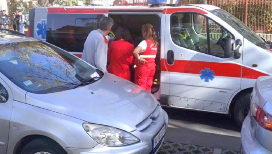 Drvo palo na izletnike u Košutnjaku: Slavili rođendan u letnjikovcu