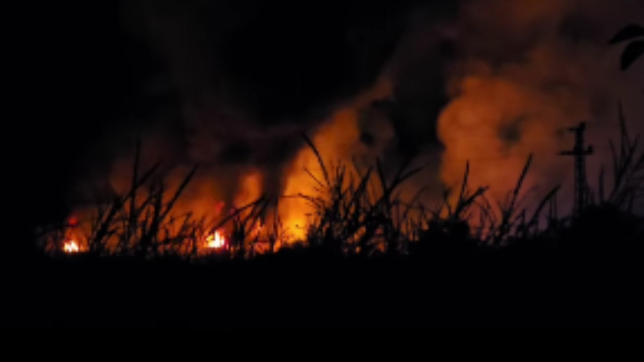 Veliki požar u Novom Sadu, vatra zahvatila objekte u kojima su životinje (VIDEO)